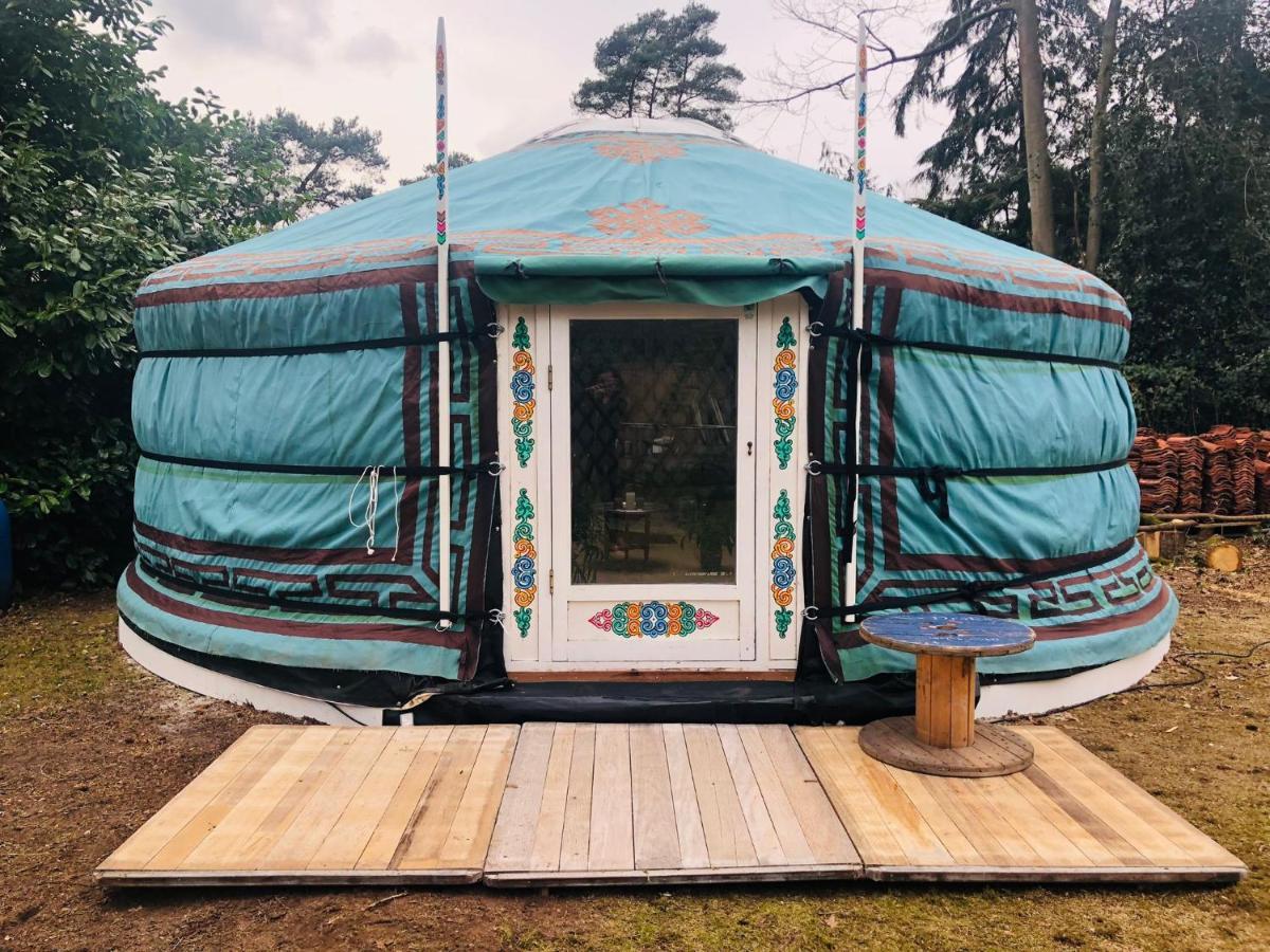 Tiny House 'T Heidehoes In Usselo Enschede Ngoại thất bức ảnh